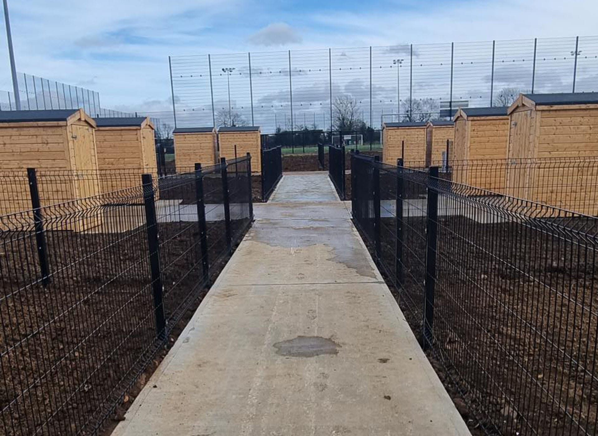 Crumlin Allotments